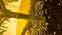 16167903117806212194315164600940