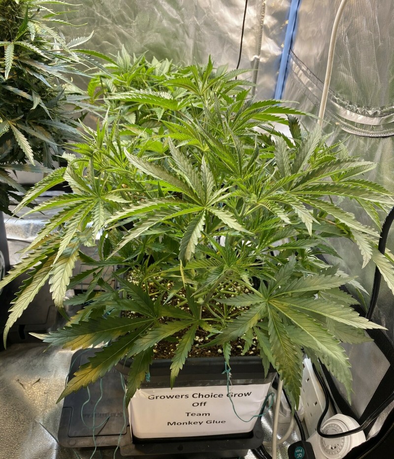 9BD448D2-5C27-41EA-A370-3EDCC6F35123