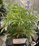 9BD448D2-5C27-41EA-A370-3EDCC6F35123