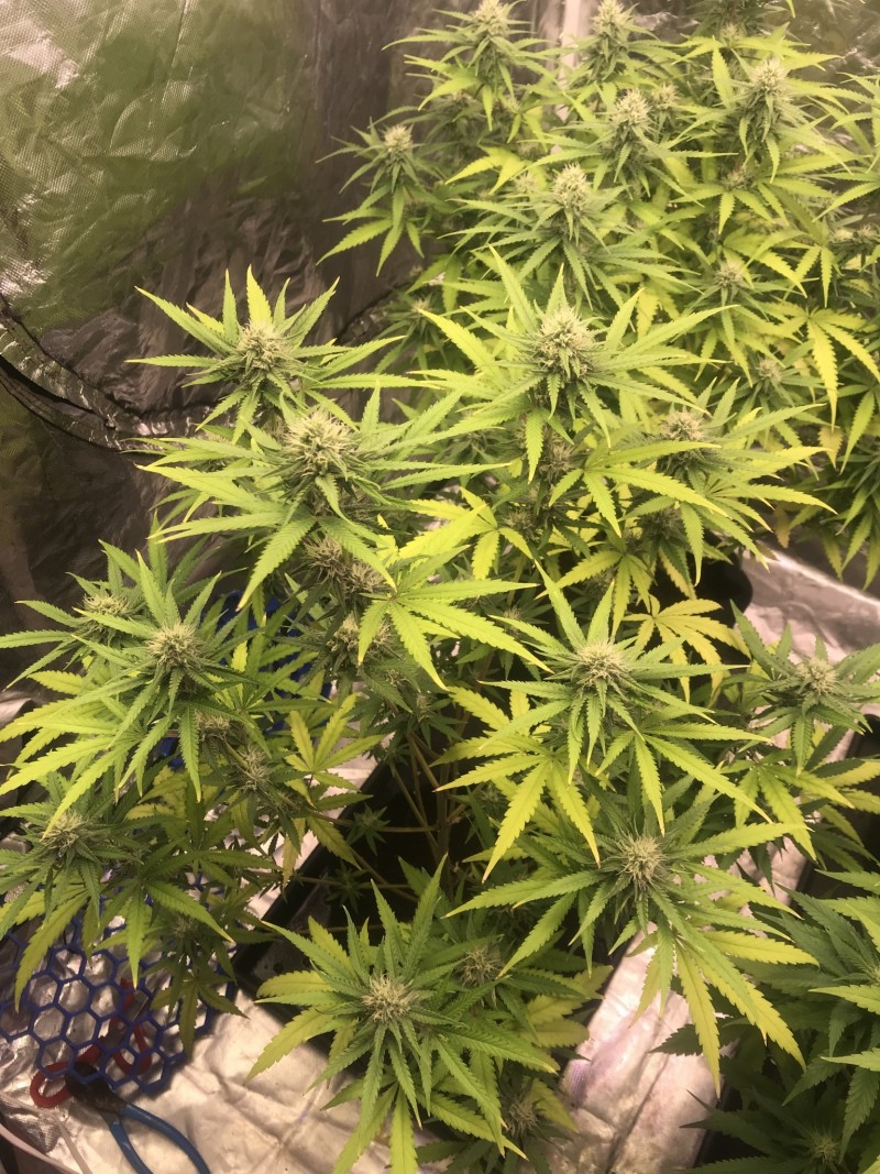 0F2CC714-7AD9-497D-B21B-4815EBE5C0E3