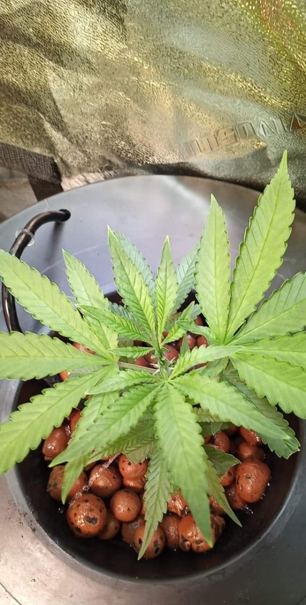 EC44458B-16F1-4C7A-A16A-E687240DCCCD