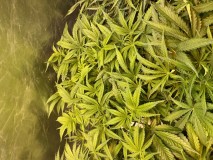 184440E0-1B41-4F2F-98F1-E53446B3DE78