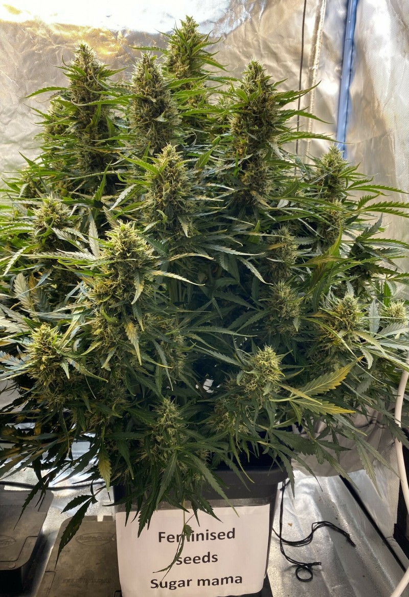 8A8C4B2B-E60C-40BC-92A3-4DB3867770F3