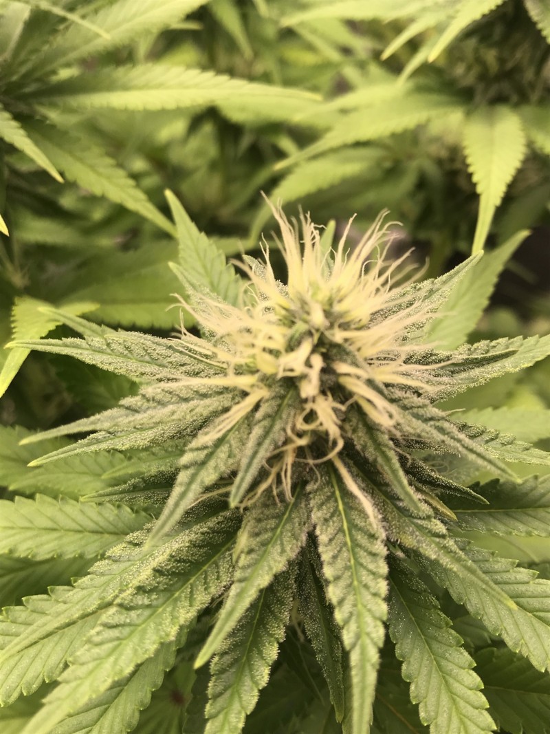 EC6BDACA-7803-4B3F-A94F-A8E34A902706