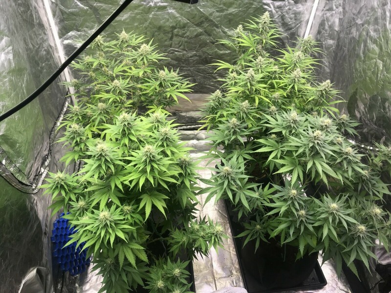 BEC0421D-31C9-4333-B374-45C4573F45AC