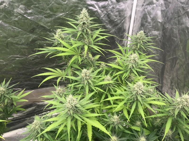 01A0A013-2332-43B1-89FF-A6A5B9AFF1AA