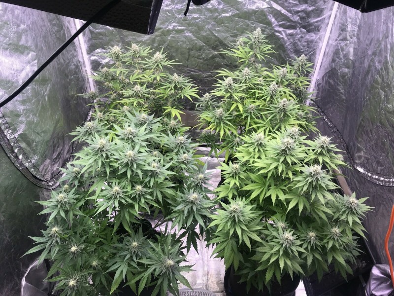 31910E0D-6C5D-4610-9DA9-E2781DCC88F7