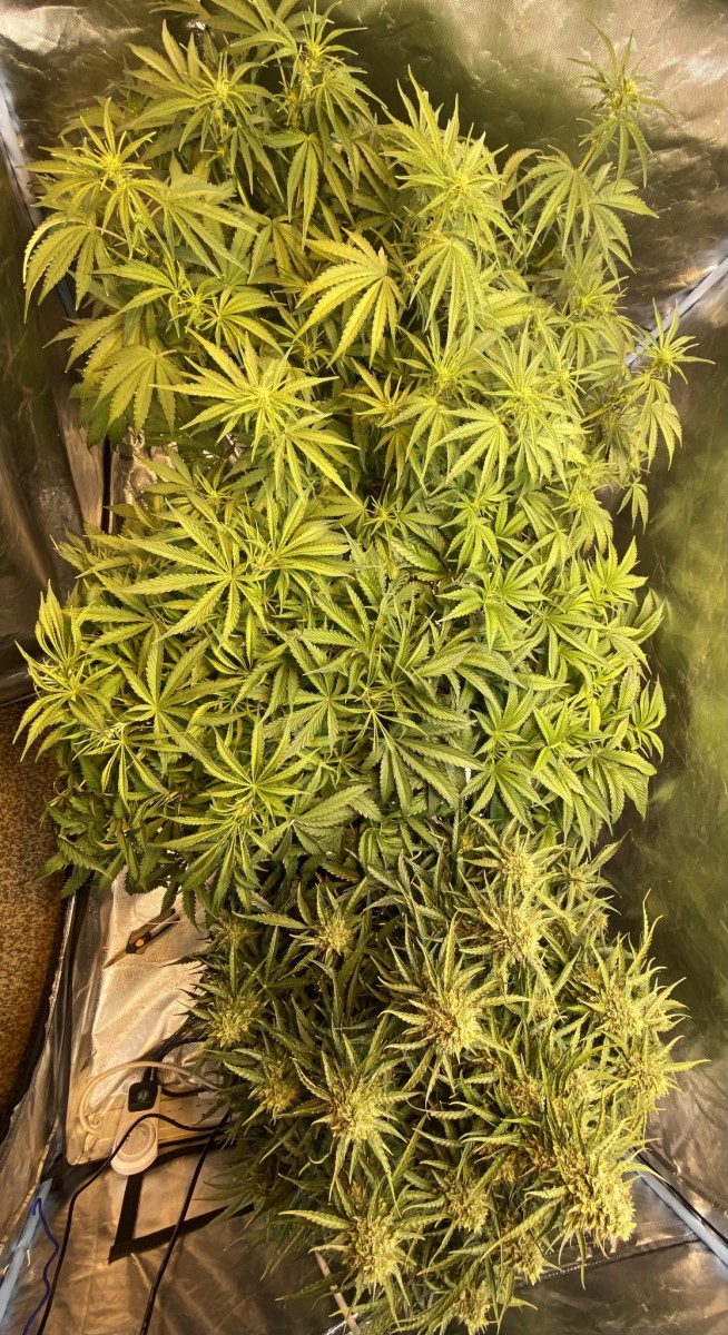 484C418C-7F17-4CE8-9711-B472AF8955CB