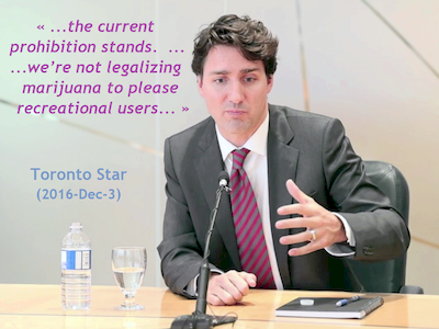 Justin MiniPET Trudeau - Toronto Star (2016-Dec-3)