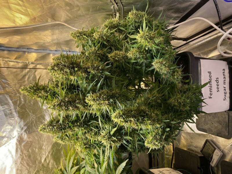 A767BF74-B227-4E0D-B717-402209ABC27B