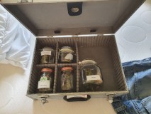 photo_2021-04-13_13-30-27 (2)