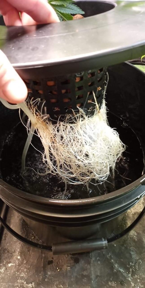 86B55E77-F6D4-4019-9AD3-9394434EC078