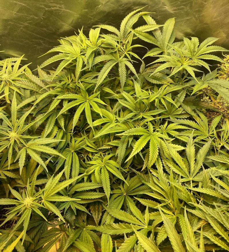 D79EE8EB-7ED6-46DC-B3A7-9E5F7B512703