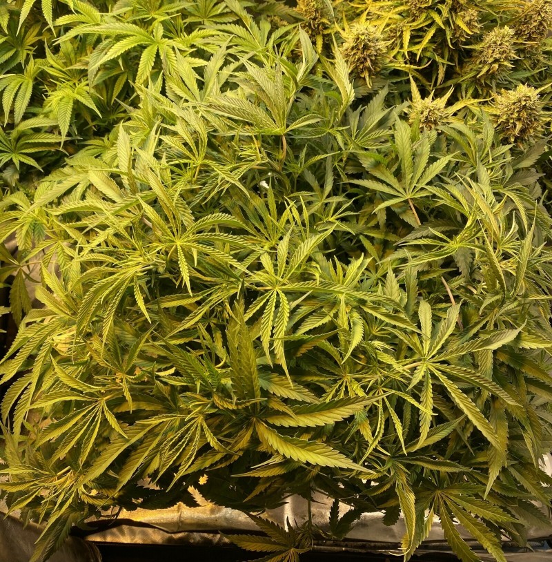 77628C92-FA1F-4BEA-AD06-B62CDB51CB3D