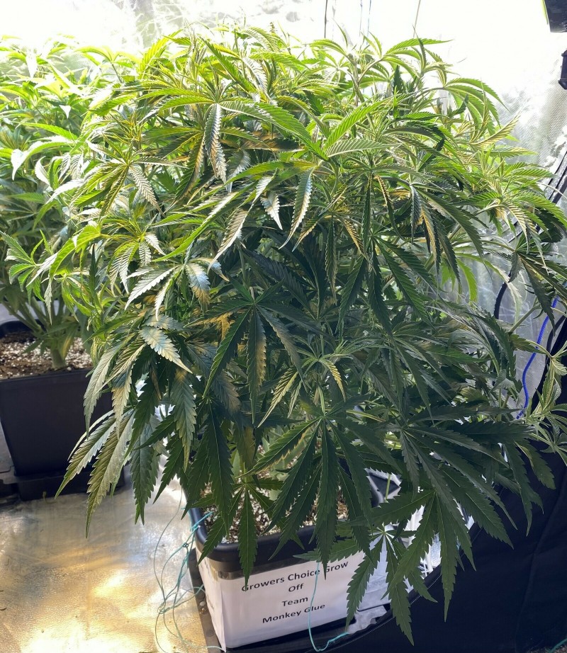 9812EA02-7309-454E-A7CD-55C2BCA91933