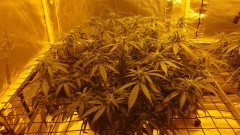 16184267828236336192404089793503