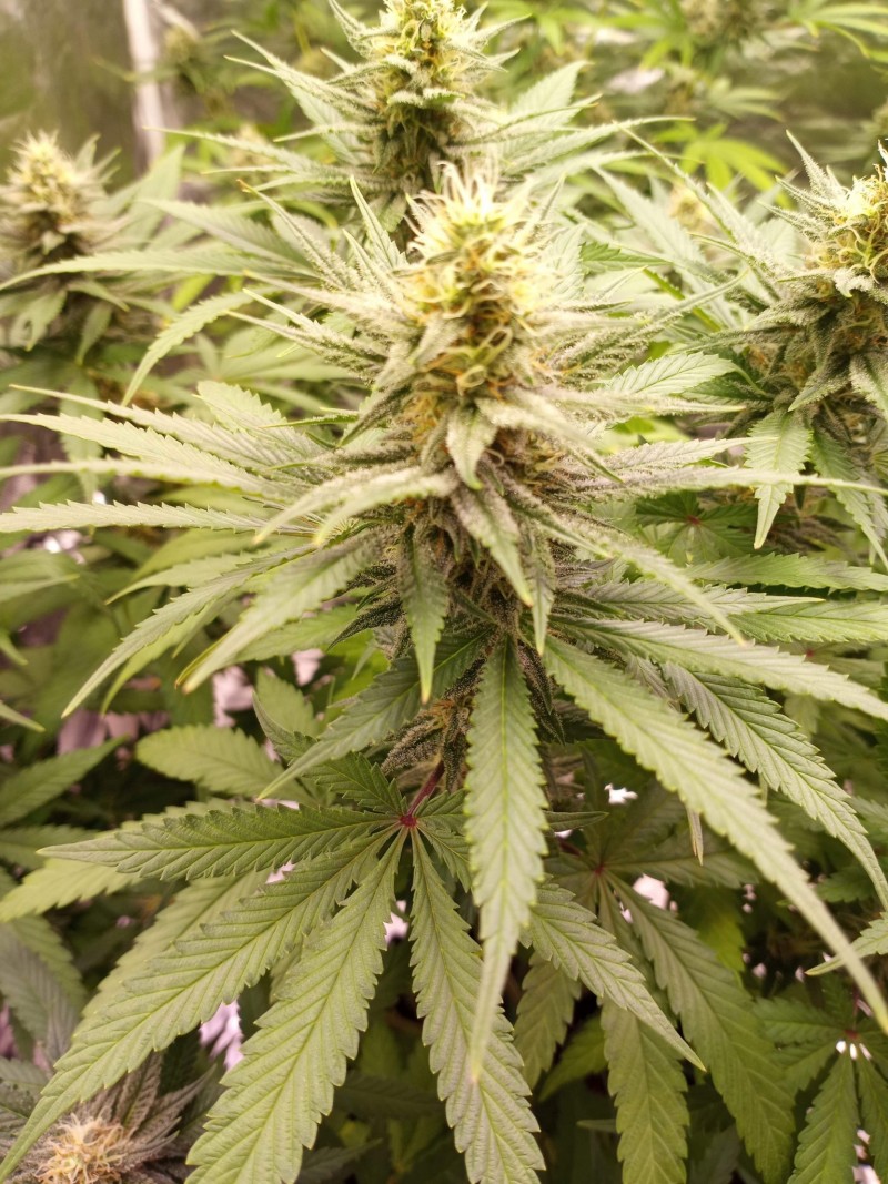 694B3E6D-42AA-4E75-9944-A1B50469C799