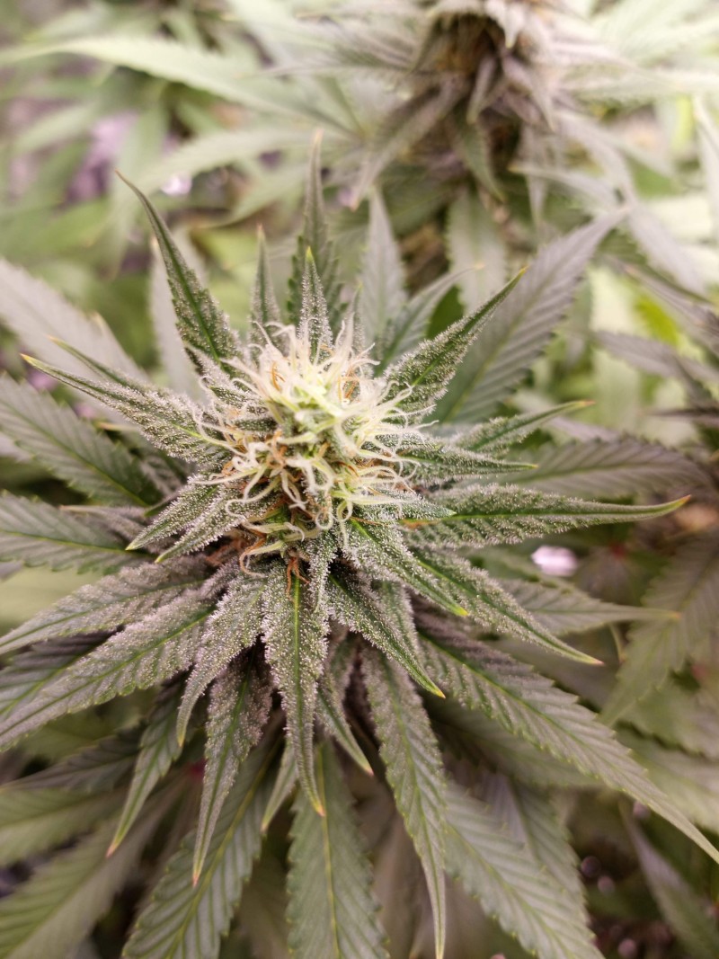 2D4FBB9A-160E-4E52-BD4E-373B2524B83E