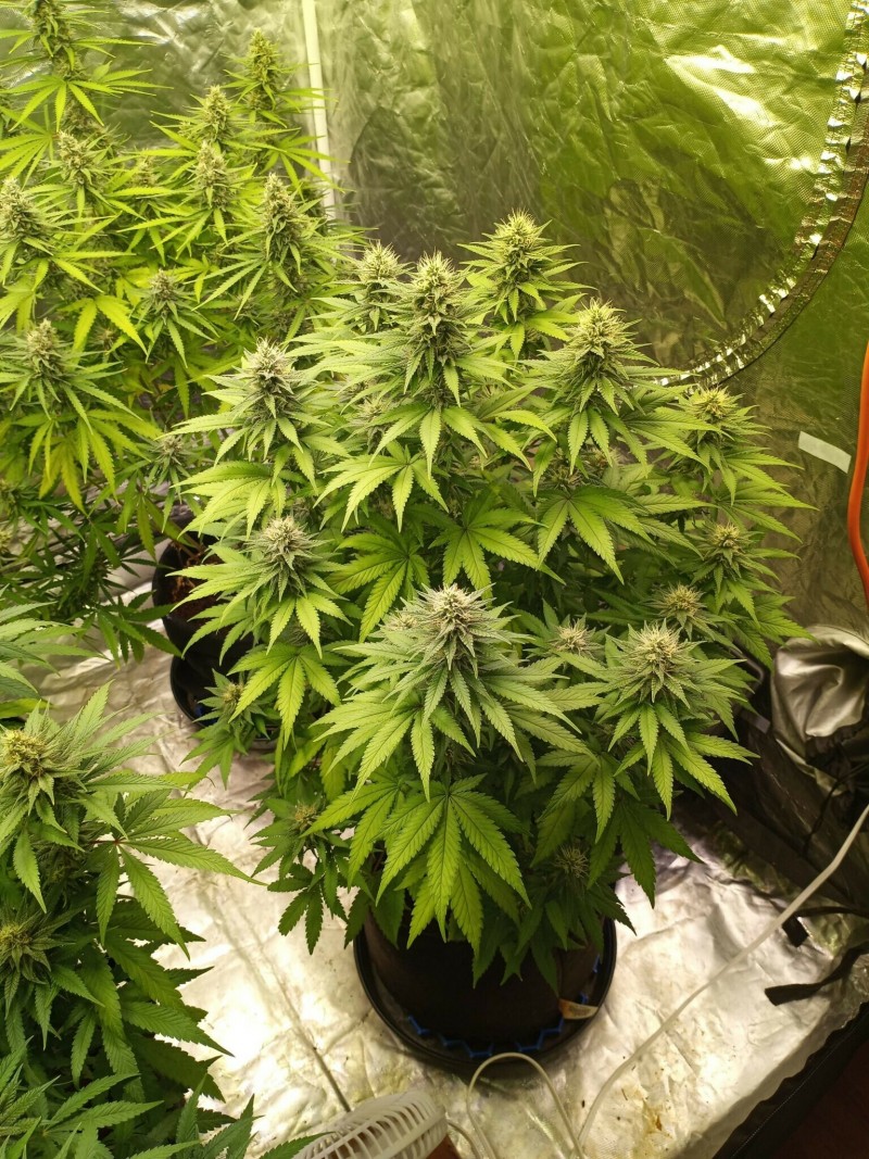 DEFB3DB6-ABE3-45F0-BCFB-51EA020062DA