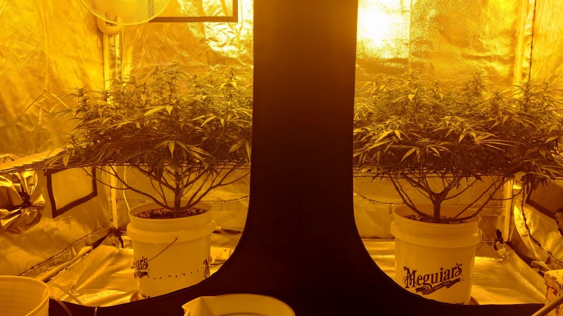 16185177880274292164489721468354