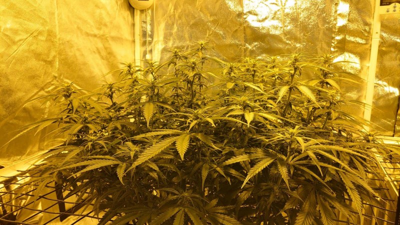 16185214249774611048265958957948