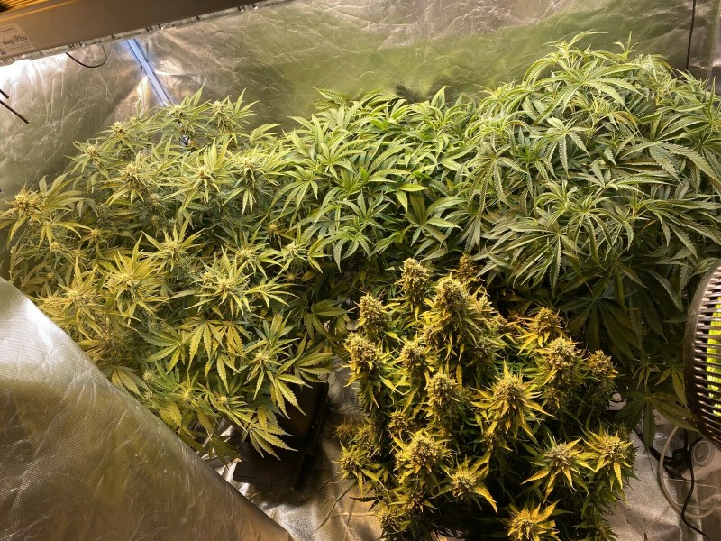 2EA12F06-5960-4E7F-8B98-41CFF9DE9D34