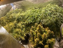 2EA12F06-5960-4E7F-8B98-41CFF9DE9D34