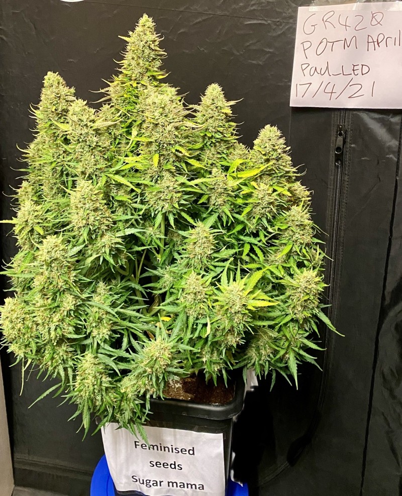 86F5AE7B-3CF2-4148-91A7-6DD3218E9F4A