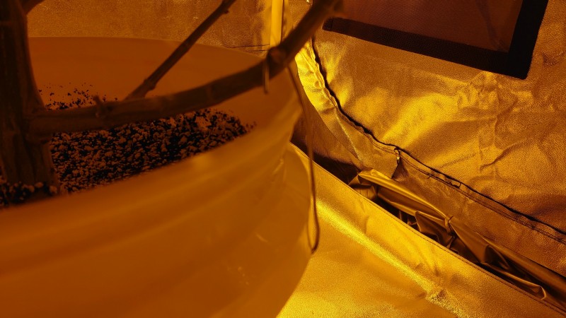 16188531322872596066845314452726