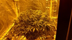 16188548459198612384504956976859