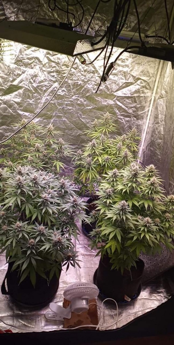 4C6D0865-DB0D-4C8B-9712-CBC1C33037E7