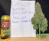 C5DEE062-3E58-4F6F-80B4-D189251E5C64