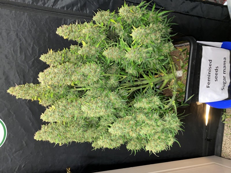 EC7B963C-2879-4F46-A4D2-504A5F6BA536