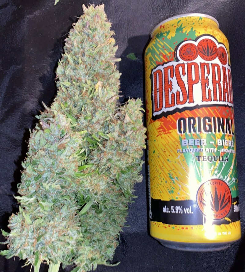 3060443E-92B9-427A-A705-C6F26CE9CA58