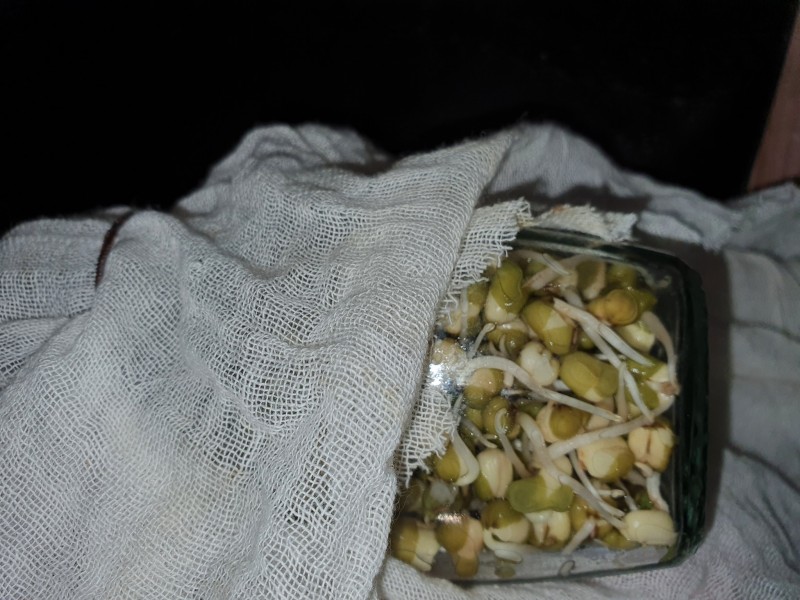 16190281121806905506399123038625