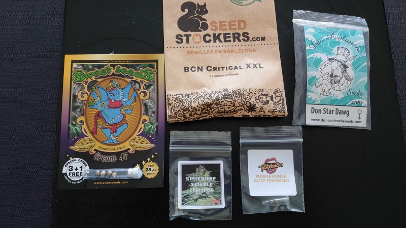 16190890518361582978852266635240