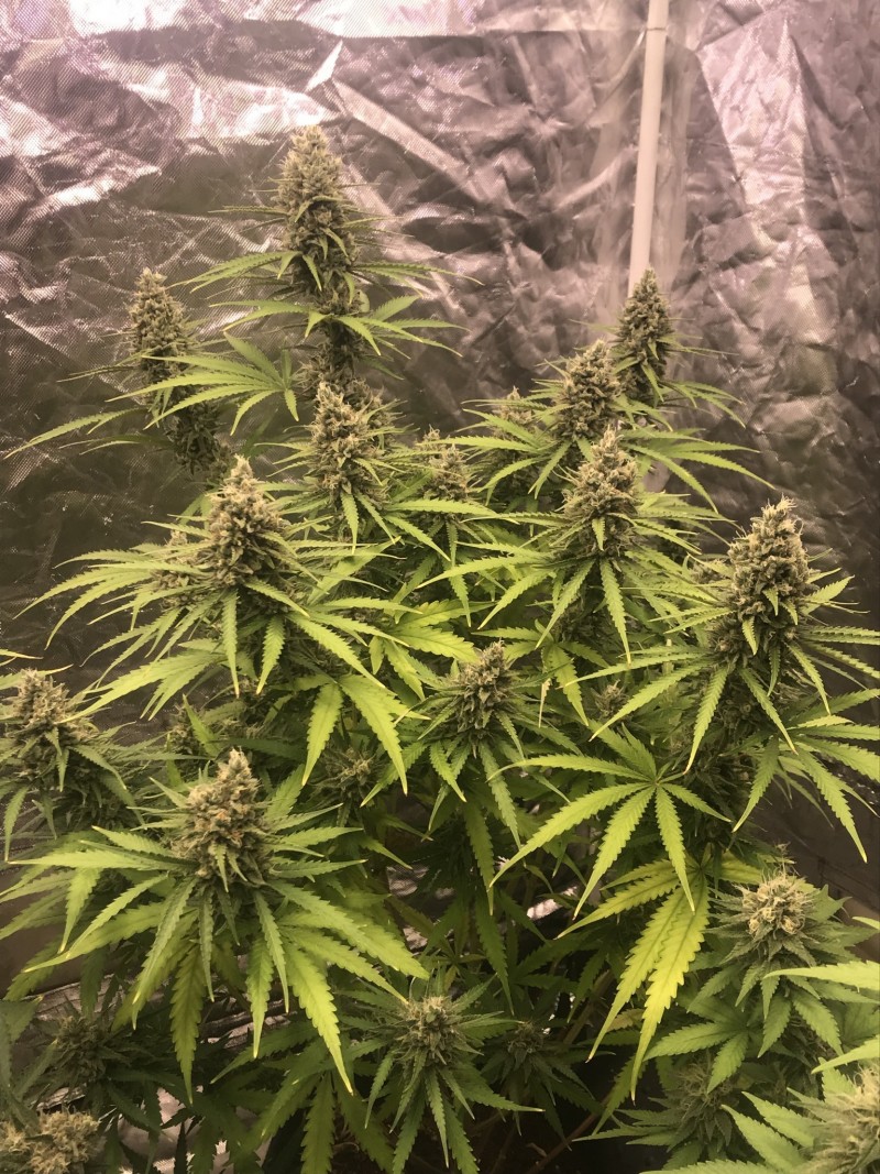 BF7B5DE0-F2E8-47B6-A2F9-7730976197EC