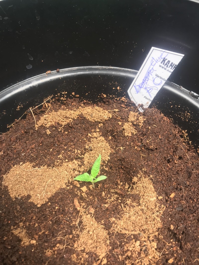 0EA8DCA1-3B1B-4C25-B19A-5EC568A892CC