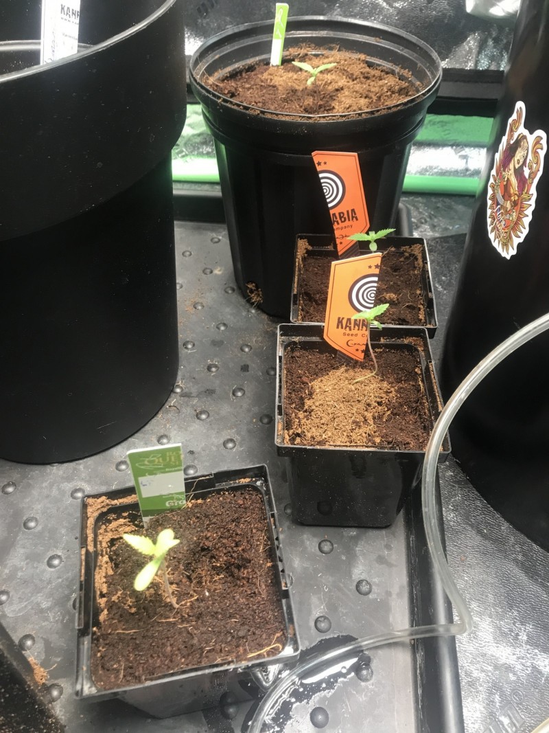 6FD30BCB-0CD6-485B-AE53-FDAAB12935A6