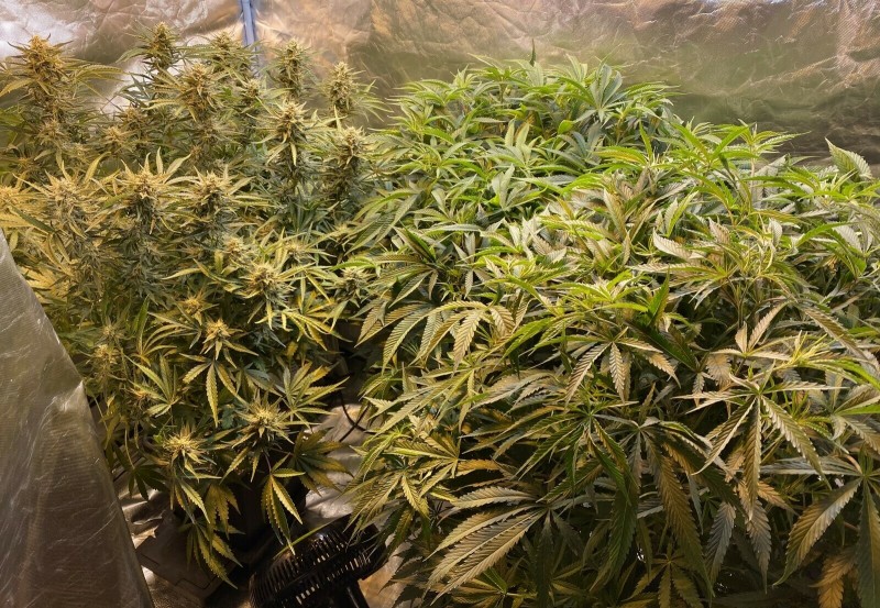 CD063199-C215-414B-9278-1EE1EC42E38E