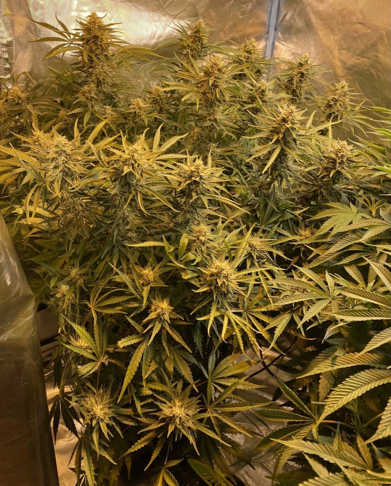 B718A66D-E132-4635-80BB-F8C04CBE80F5