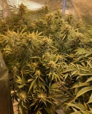 B718A66D-E132-4635-80BB-F8C04CBE80F5