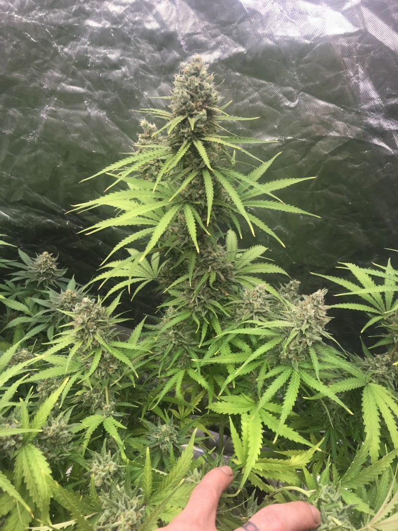 33CC2265-E2D4-4725-B42D-08D95317D839