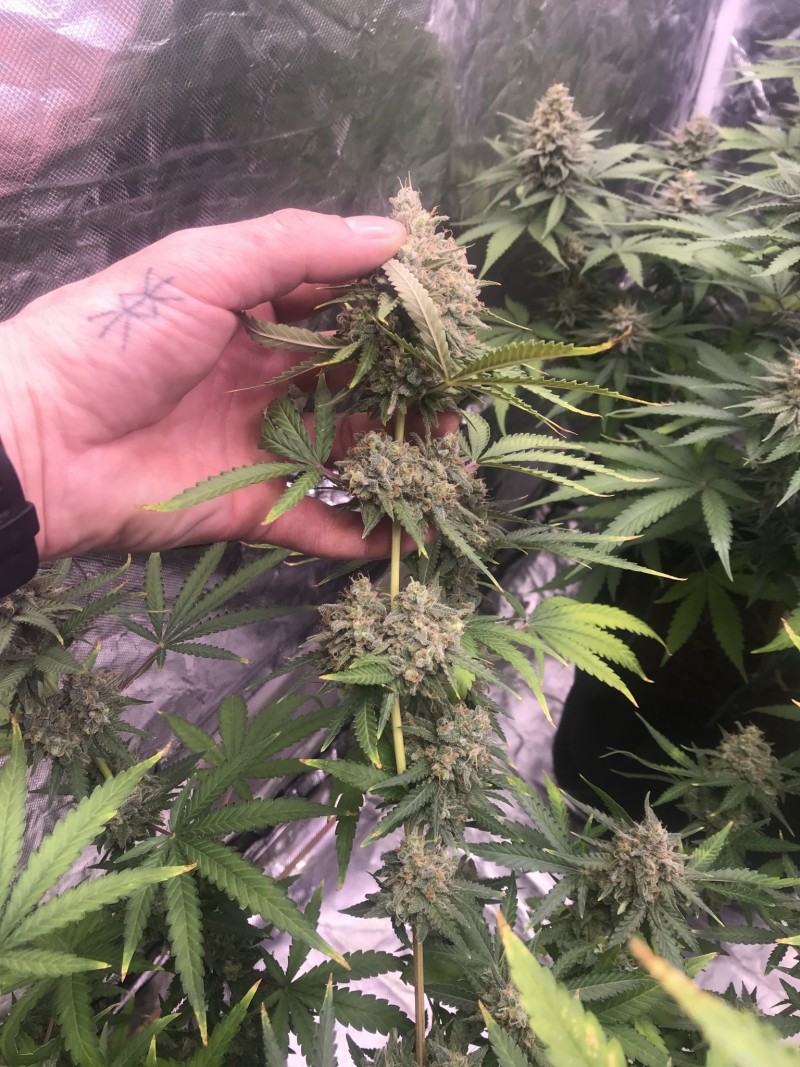 12E4D2A4-0C7E-4BFB-BC41-7F6CE635B438