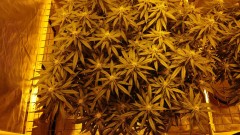 16196296128697936122724990708221