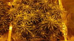 16196305574755007176303712126819