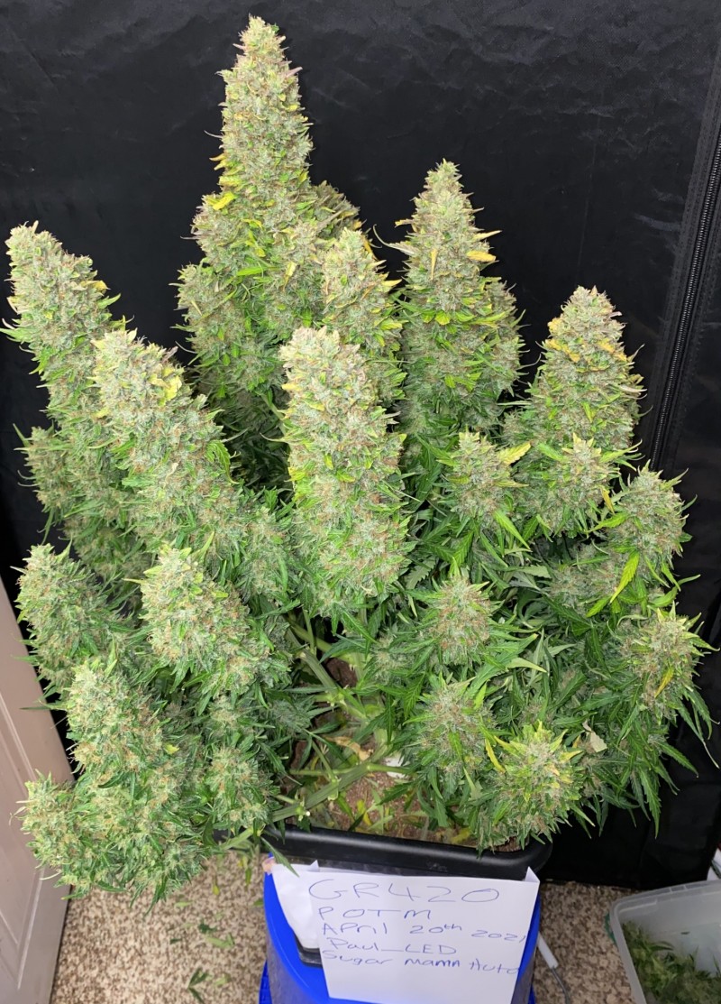 8213E83F-57C5-4216-8224-0DC396204592