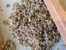 16197698752237612514840328947124