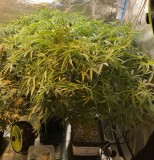 41DF98B8-6EC6-411D-817A-8EC18E7A6655