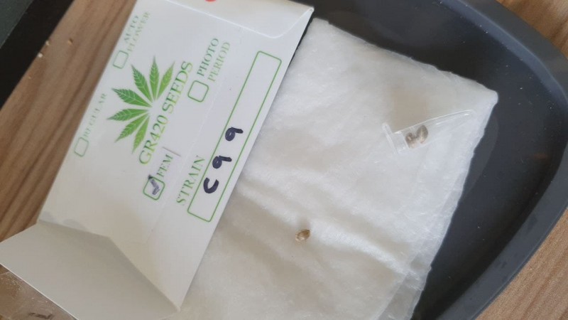 photo_2021-05-05_12-48-50